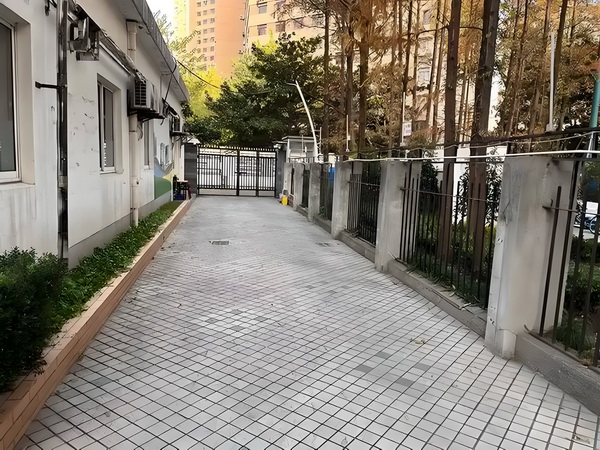 竞芳菲